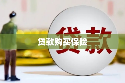 云龙贷款购买保险