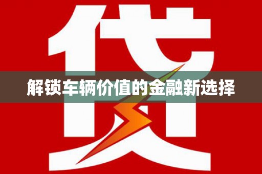 云龙解锁车辆价值的金融新选择