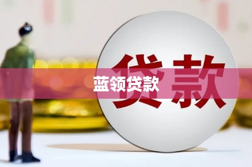 云龙蓝领贷款