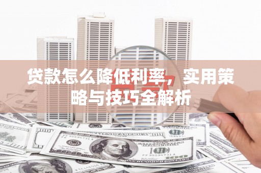 云龙贷款怎么降低利率，实用策略与技巧全解析