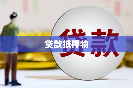 云龙贷款抵押物