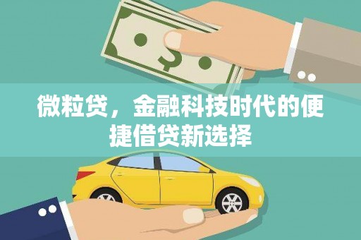 云龙微粒贷，金融科技时代的便捷借贷新选择