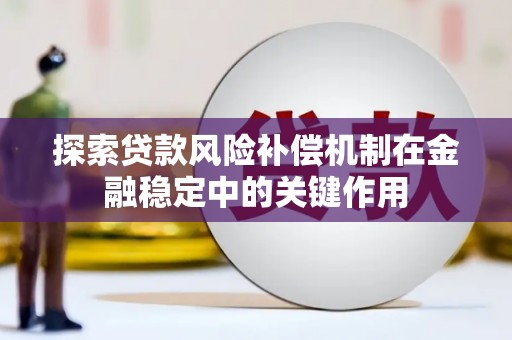 云龙探索贷款风险补偿机制在金融稳定中的关键作用