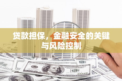 云龙贷款担保，金融安全的关键与风险控制