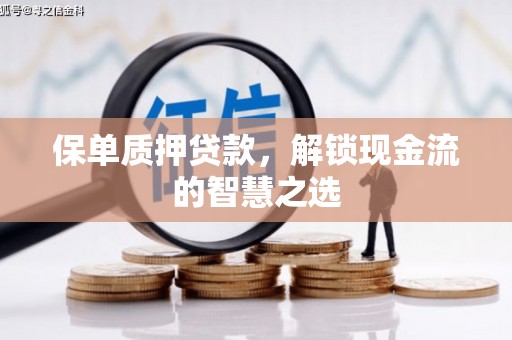云龙保单质押贷款，解锁现金流的智慧之选