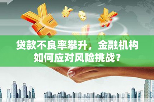 云龙贷款不良率攀升，金融机构如何应对风险挑战？