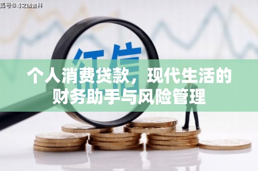 云龙个人消费贷款，现代生活的财务助手与风险管理