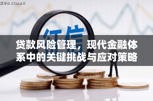 云龙贷款风险管理，现代金融体系中的关键挑战与应对策略