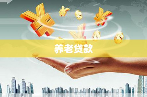 云龙养老贷款