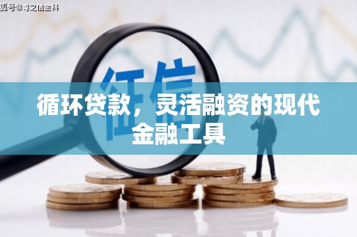 云龙循环贷款，灵活融资的现代金融工具
