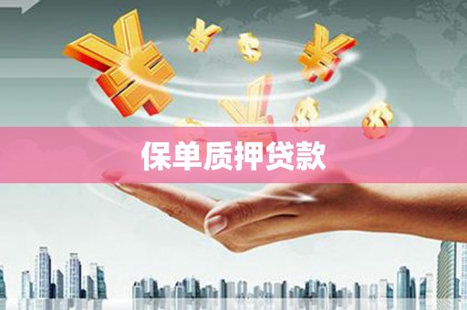 云龙保单质押贷款