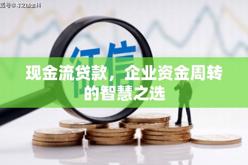 云龙现金流贷款，企业资金周转的智慧之选