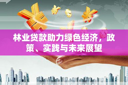 云龙林业贷款助力绿色经济，政策、实践与未来展望