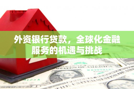 云龙外资银行贷款，全球化金融服务的机遇与挑战