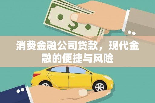 云龙消费金融公司贷款，现代金融的便捷与风险
