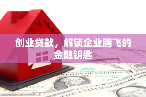 云龙创业贷款，解锁企业腾飞的金融钥匙