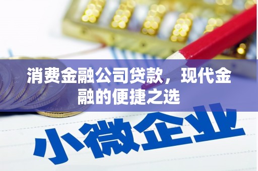 云龙消费金融公司贷款，现代金融的便捷之选