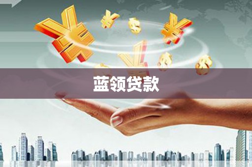 云龙蓝领贷款