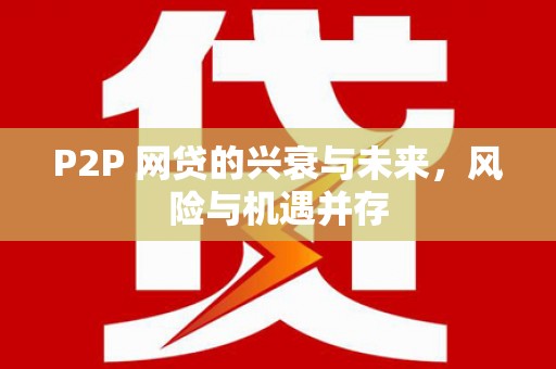 云龙P2P 网贷的兴衰与未来，风险与机遇并存