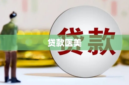 云龙贷款医美