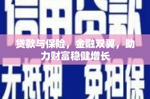 云龙贷款与保险，金融双翼，助力财富稳健增长