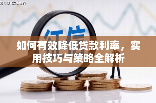 云龙如何有效降低贷款利率，实用技巧与策略全解析