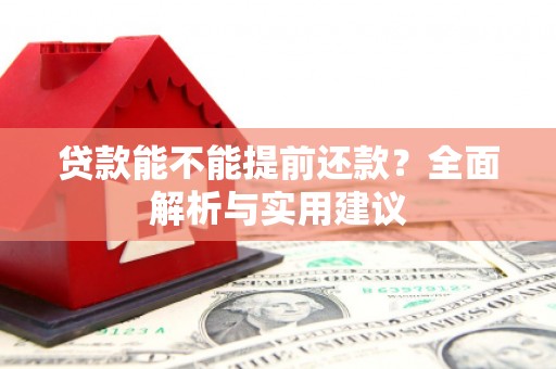 云龙贷款能不能提前还款？全面解析与实用建议
