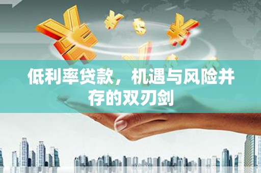 云龙低利率贷款，机遇与风险并存的双刃剑