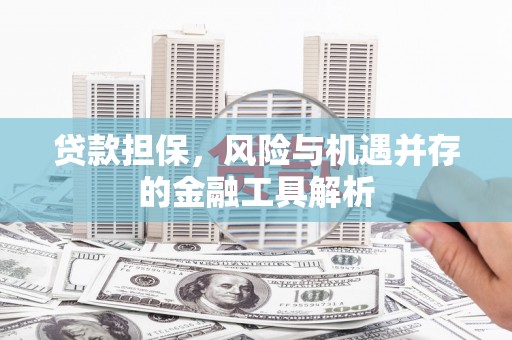 云龙贷款担保，风险与机遇并存的金融工具解析