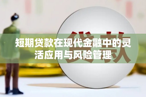 云龙短期贷款在现代金融中的灵活应用与风险管理