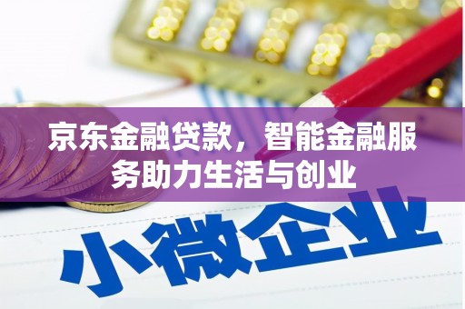 云龙京东金融贷款，智能金融服务助力生活与创业
