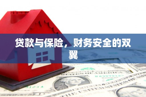 云龙贷款与保险，财务安全的双翼