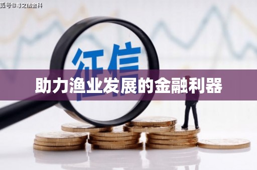 云龙助力渔业发展的金融利器