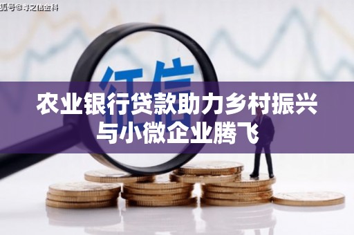 云龙农业银行贷款助力乡村振兴与小微企业腾飞