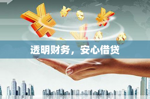 云龙透明财务，安心借贷