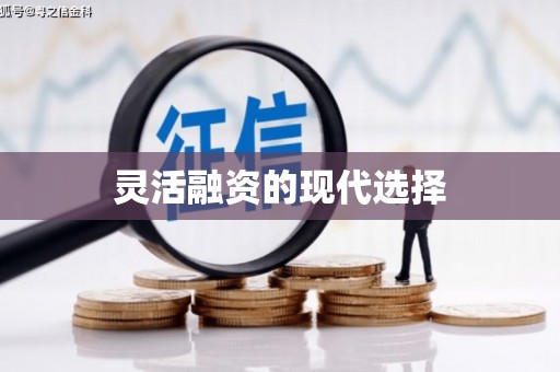 云龙灵活融资的现代选择