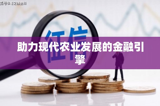 云龙助力现代农业发展的金融引擎