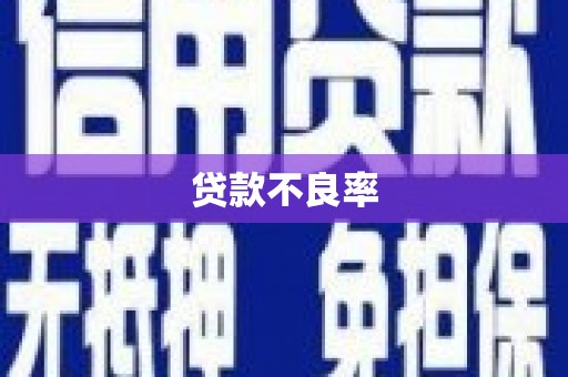 云龙贷款不良率
