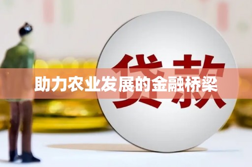 云龙助力农业发展的金融桥梁
