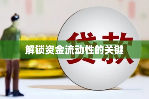 云龙解锁资金流动性的关键