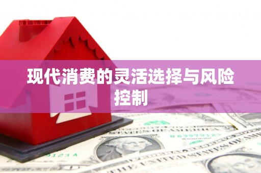 云龙现代消费的灵活选择与风险控制
