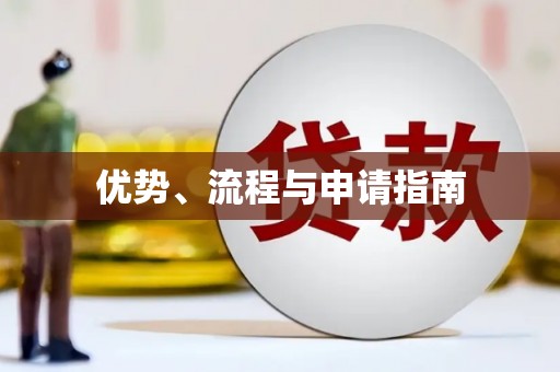 云龙优势、流程与申请指南