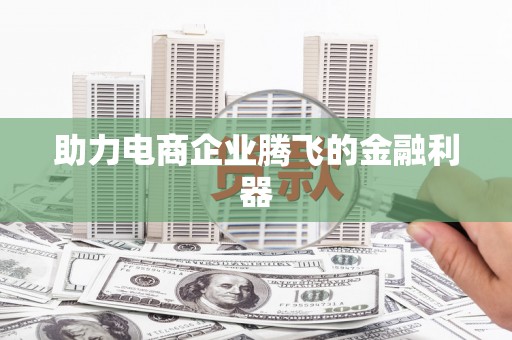 云龙助力电商企业腾飞的金融利器