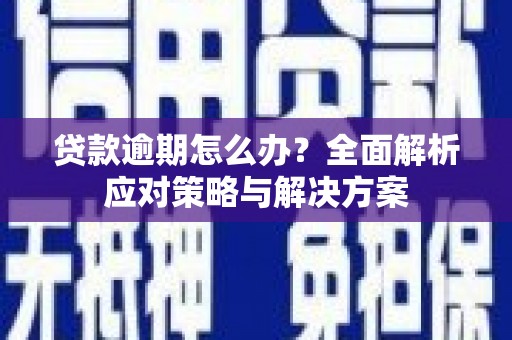 云龙贷款逾期怎么办？全面解析应对策略与解决方案