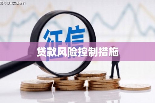 云龙贷款风险控制措施