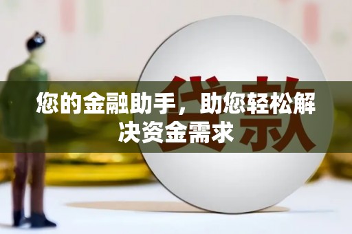 云龙您的金融助手，助您轻松解决资金需求