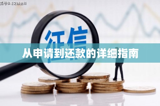 云龙从申请到还款的详细指南