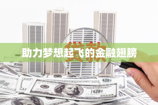 云龙助力梦想起飞的金融翅膀