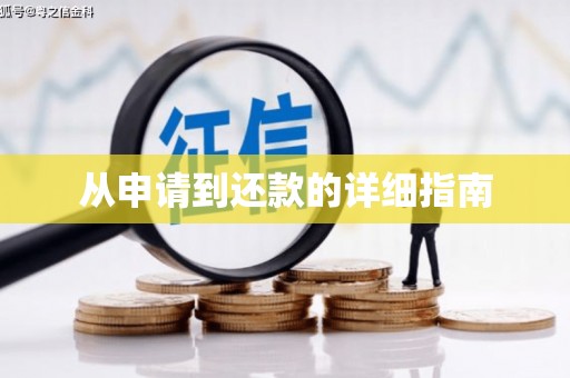 云龙从申请到还款的详细指南