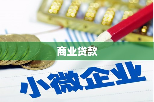 云龙商业贷款